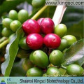 100% Natural High Quality Pure Weight Loss Green Coffee Bean Extract KS-29